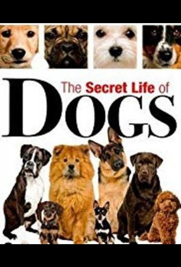 Тайная жизнь собак