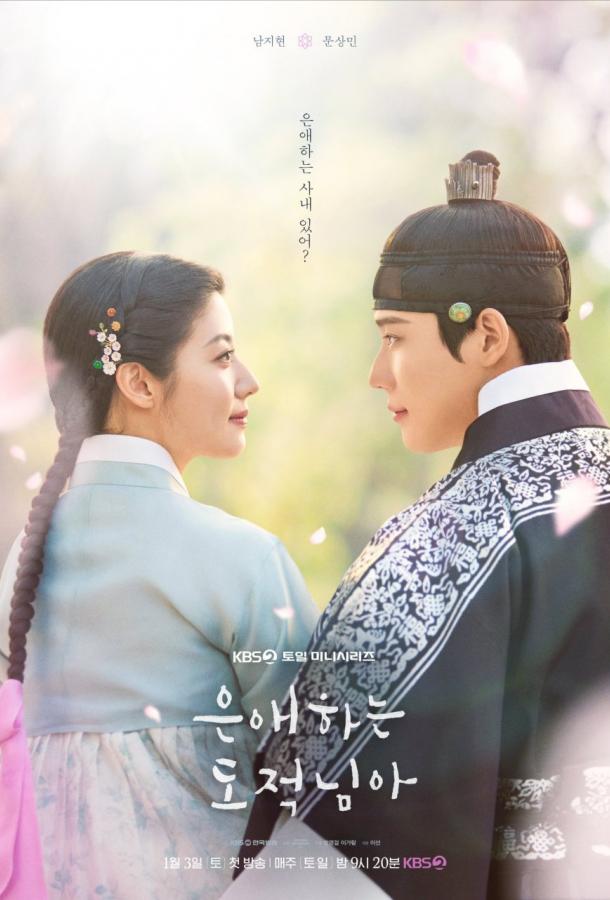 Мой любимый вор